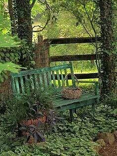 How can therapy help?. Garden bench
